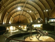 Sala del Cretcico.Museo Jursico de Asturias cercano a los apartamentos Correhuela (Villaviciosa)